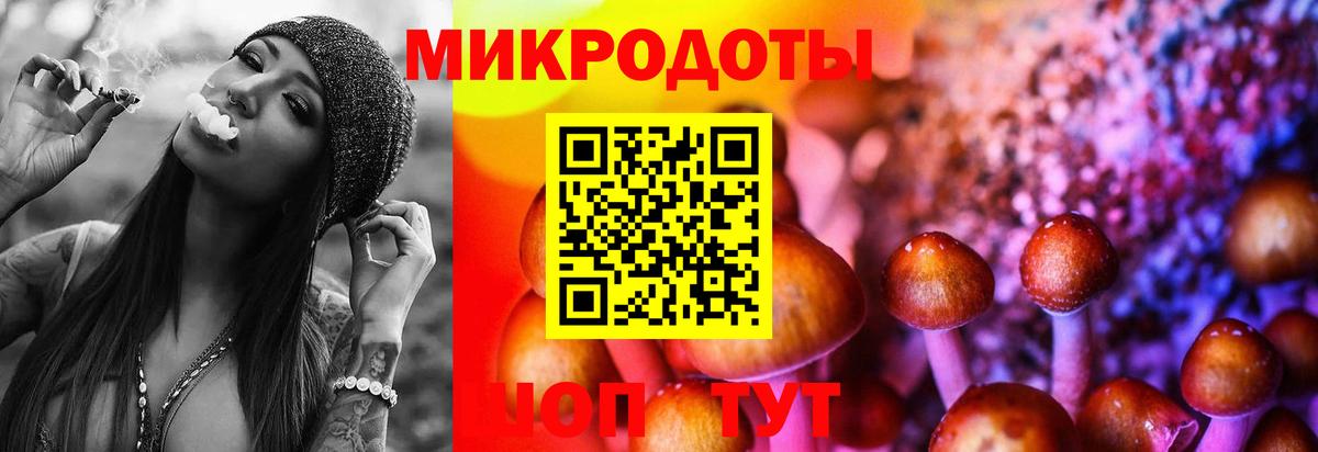 Галлюциногенные грибы прущие грибы  Вход с VPN  Псилоцибиновые грибы GOLDEN TEACHER  Красноперекопск 